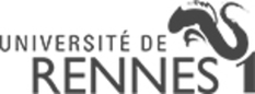 UNIVERSITÉ RENNES 1 - SERVICE DE FORMATION CONTINUE