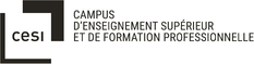 CESI - Campus d'Enseignement Supérieur et de Formation Professionnelle